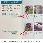 画像5: 2026年版365days... 鳥どりカレンダー ＜壁掛け＞★ (5)