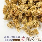 画像1: 賞味期限2027/4/30農薬不使用栽培【長崎県産】カット赤粟の穂 30g 2024年産 KA30★ (1)