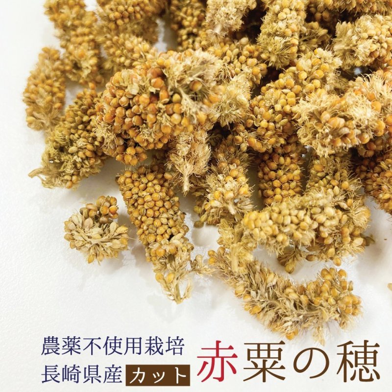 画像1: 賞味期限2027/4/30農薬不使用栽培【長崎県産】カット赤粟の穂 30g 2024年産 KA30★ (1)