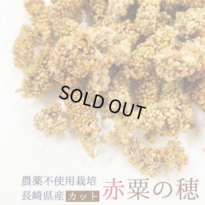 画像1: 賞味期限2027/8/31農薬不使用栽培【長崎県産】カット赤粟の穂 30g 2024年産 KA30★ (1)