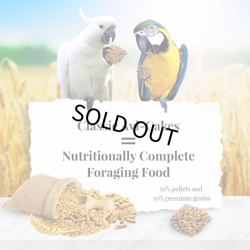 画像2: CAP! 鳥の餌 賞味期限2026/11/28ラフィーバー アヴィケーキ マコウ (2)