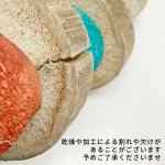 画像5: バードカバブ Especial Bird Kabob 20076 (5)