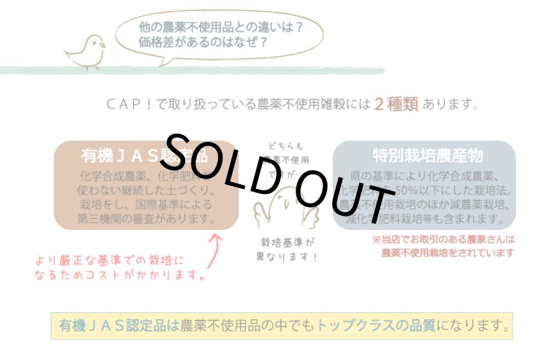 画像5: CAP! 鳥の餌【熊本県産】LNH50 有機JAS認定品 【極】ひえの穂 50g 2025年産 ★ (5)