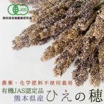 画像1: CAP! 鳥の餌【熊本県産】LNH50 有機JAS認定品 【極】ひえの穂 50g 2025年産 ★ (1)