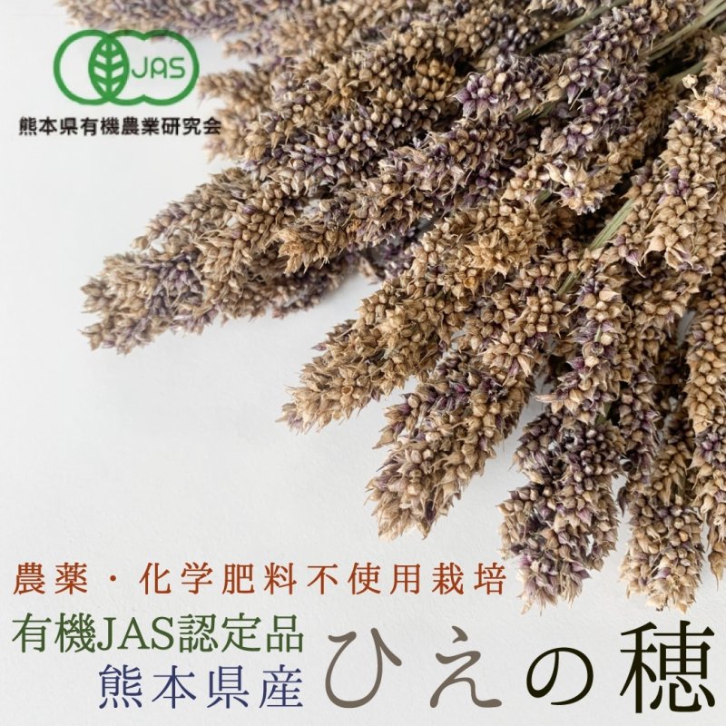 画像1: CAP! 鳥の餌　賞味期限2027/6/30【熊本県産】LNH50 有機JAS認定品 【極】ひえの穂 50g 2025年産 ★ (1)