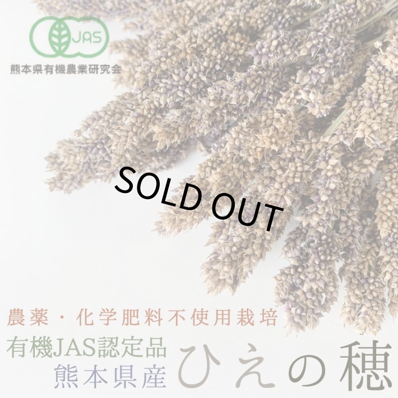 画像1: CAP! 鳥の餌【熊本県産】LNH50 有機JAS認定品 【極】ひえの穂 50g 2025年産 ★ (1)