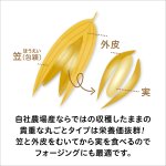 画像4: CAP! 鳥の餌 賞味期限2027/7/31【BIRDMORE】【バードモアファーム】笠つきオーツ麦 50g 2025年産（農薬・化学肥料不使用) 埼玉県産 (4)