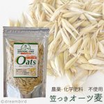 画像1: CAP! 鳥の餌 賞味期限2027/7/31【BIRDMORE】【バードモアファーム】笠つきオーツ麦 50g 2025年産（農薬・化学肥料不使用) 埼玉県産 (1)