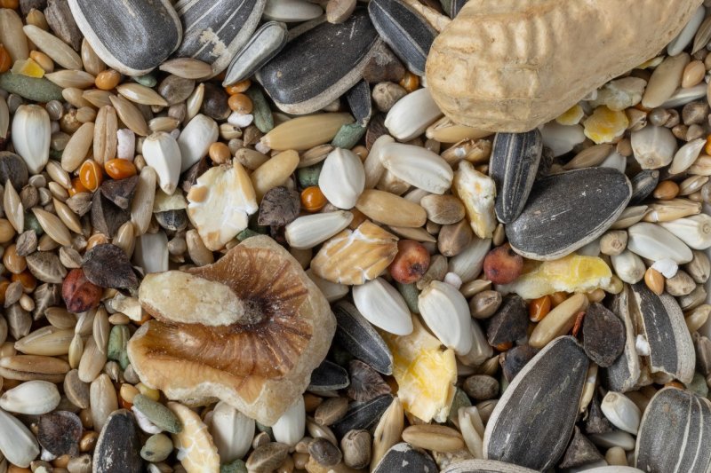 画像2: CAP! 鳥の餌 賞味期限2026/12/31　黒瀬ペットフード マニア 大型インコ専用 1L（約620g） (2)