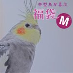 画像1: 【1/2fri20:00〜】オカメインコ・コニュアなどの中型鳥向け♪ 12,000円相当 ※同梱不可・送料込み※おひとり様一点まで※【お正月福袋】Mセット ※LAFEBER’sサンプル付き (1)