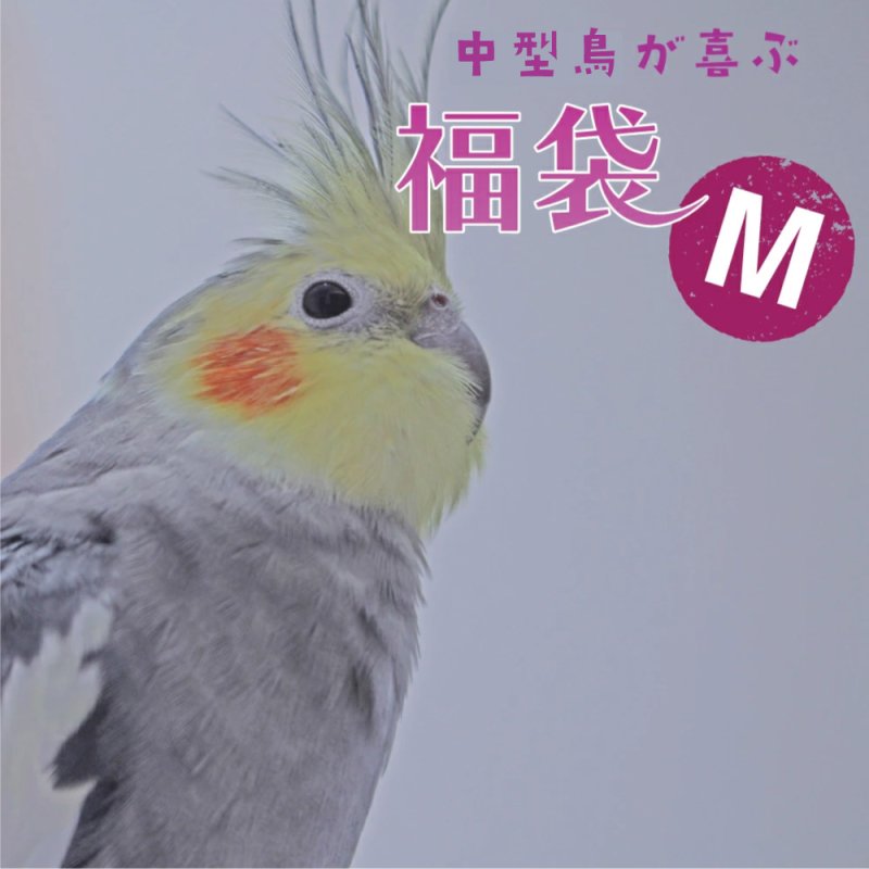 画像1: 【1/2fri20:00〜】オカメインコ・コニュアなどの中型鳥向け♪ 12,000円相当 ※同梱不可・送料込み※おひとり様一点まで※【お正月福袋】Mセット ※LAFEBER’sサンプル付き (1)