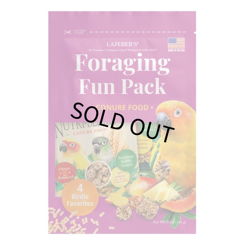 画像6: CAP! 鳥の餌 賞味期限2026/10/10【コニュア】ラフィーバー フォレイジングファンパック コニュア (6)