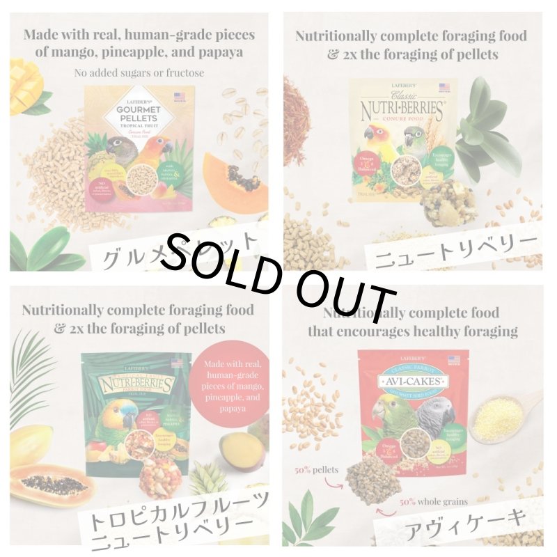 画像2: CAP! 鳥の餌 賞味期限2026/10/10【コニュア】ラフィーバー フォレイジングファンパック コニュア (2)