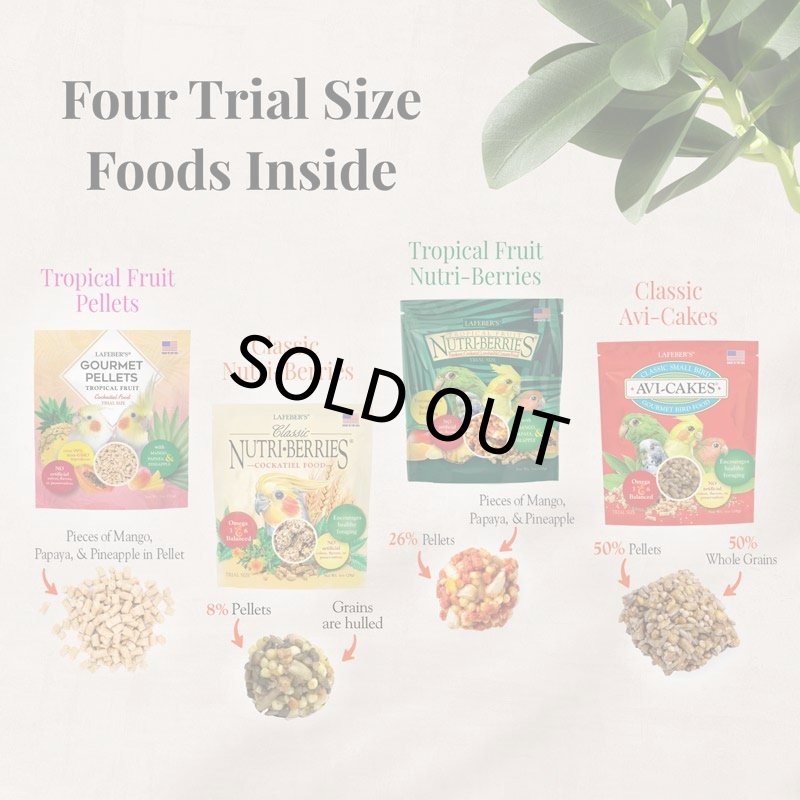 画像3: CAP! 鳥の餌 賞味期限2026/10/9【オカメ】ラフィーバー フォレイジングファンパック オカメインコ (3)