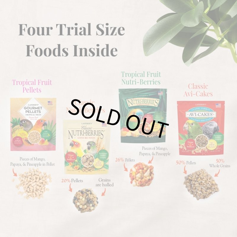 画像3: CAP! 鳥の餌 賞味期限2026/10/10【コニュア】ラフィーバー フォレイジングファンパック コニュア (3)