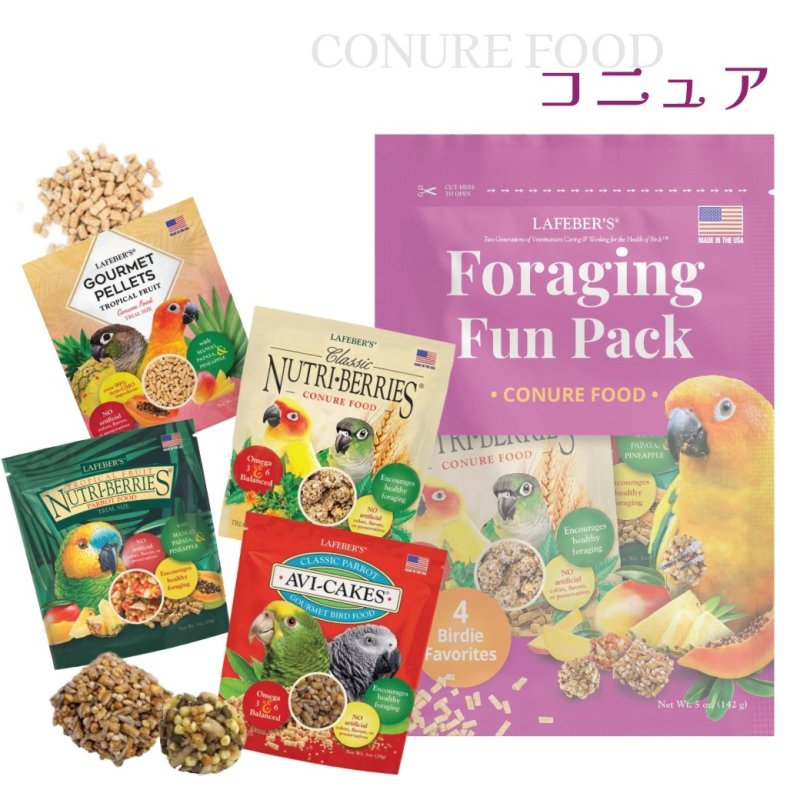 画像1: CAP! 鳥の餌 賞味期限2026/10/10【コニュア】ラフィーバー フォレイジングファンパック コニュア (1)