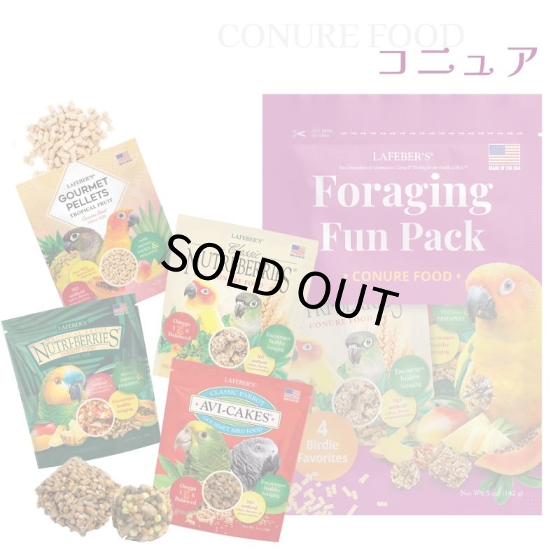 画像1: CAP! 鳥の餌 賞味期限2026/10/10【コニュア】ラフィーバー フォレイジングファンパック コニュア (1)