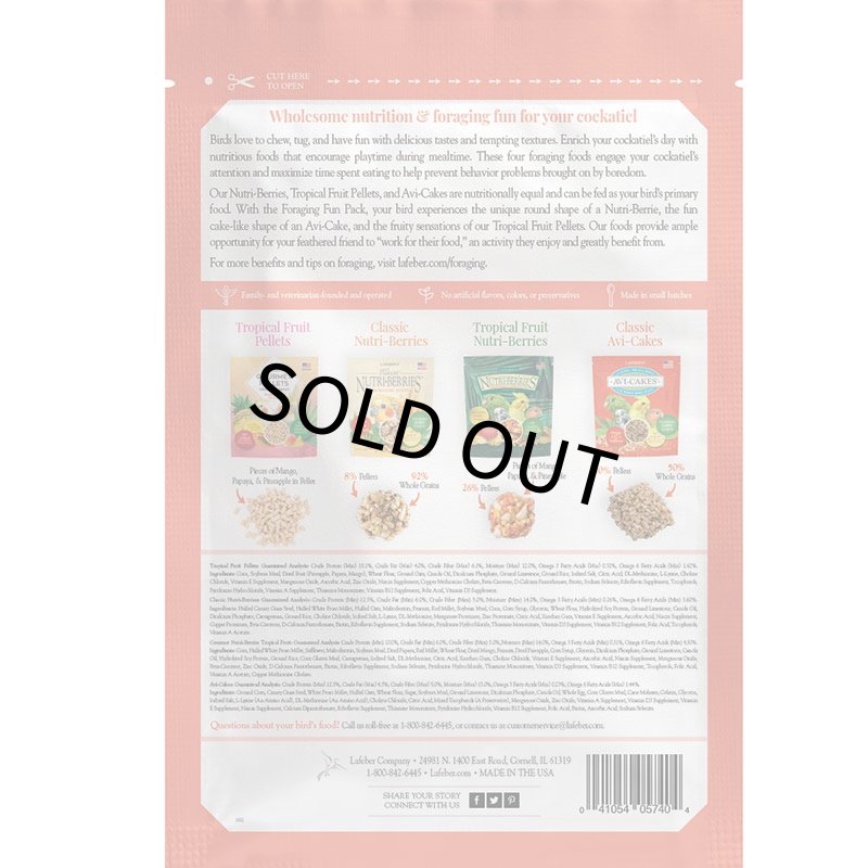 画像4: CAP! 鳥の餌 賞味期限2026/10/9【オカメ】ラフィーバー フォレイジングファンパック オカメインコ (4)