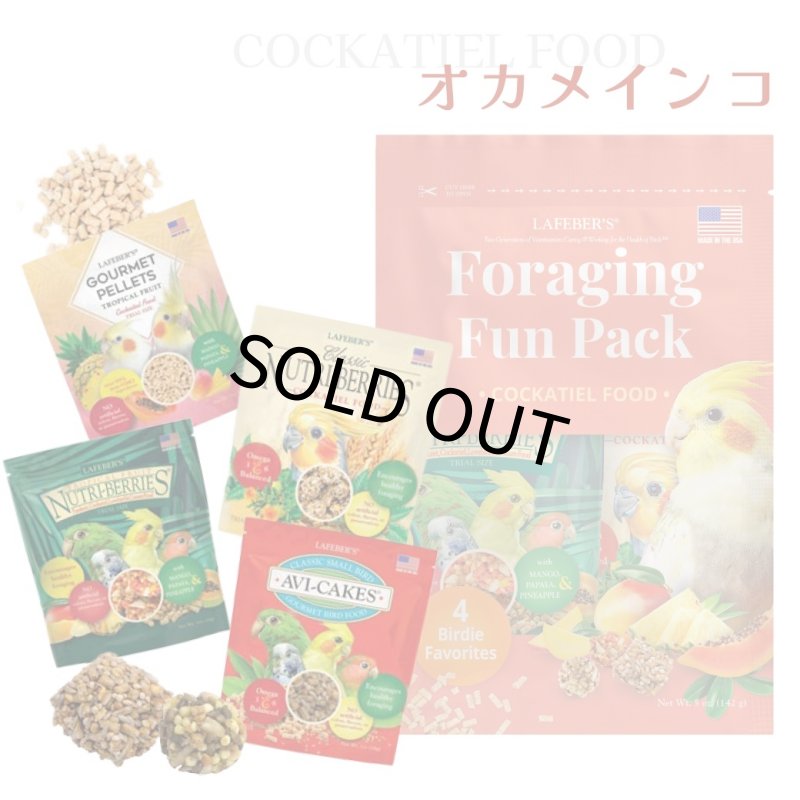 画像1: CAP! 鳥の餌 賞味期限2026/10/9【オカメ】ラフィーバー フォレイジングファンパック オカメインコ (1)