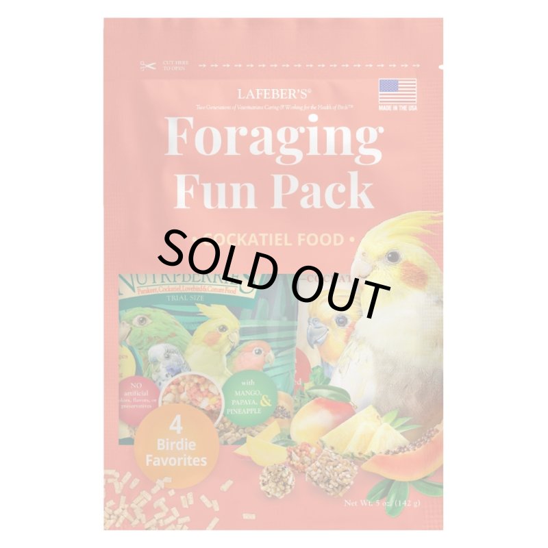 画像6: CAP! 鳥の餌 賞味期限2026/10/9【オカメ】ラフィーバー フォレイジングファンパック オカメインコ (6)