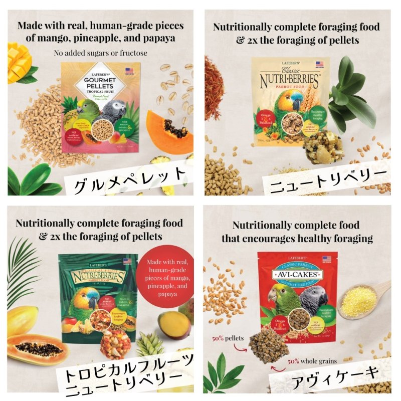 画像2: CAP! 鳥の餌 賞味期限2026/8/13【パロット】ラフィーバー フォレイジングファンパック パロット (2)