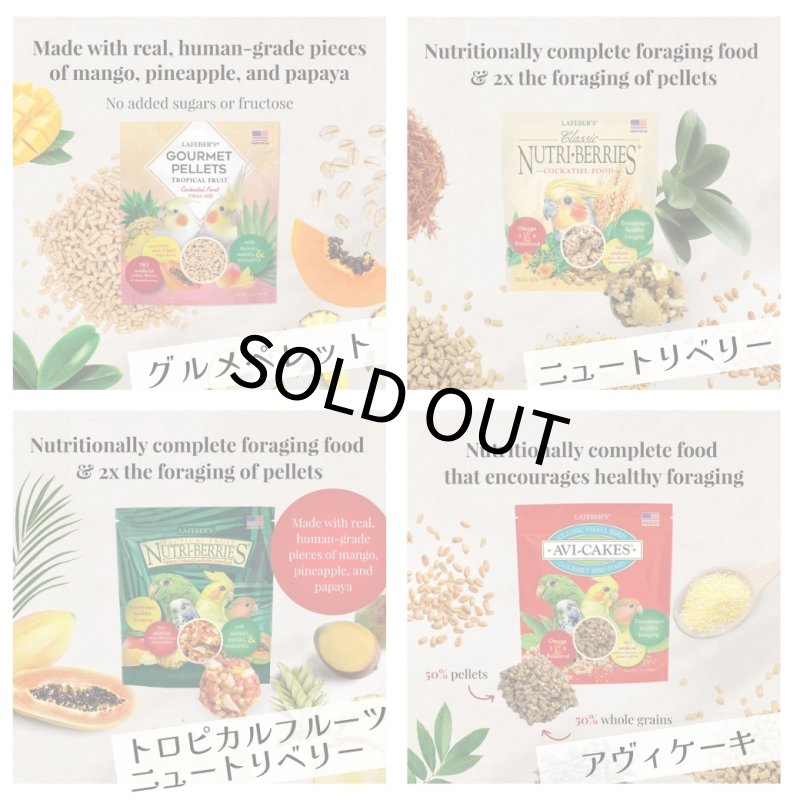 画像2: CAP! 鳥の餌 賞味期限2026/10/9【オカメ】ラフィーバー フォレイジングファンパック オカメインコ (2)