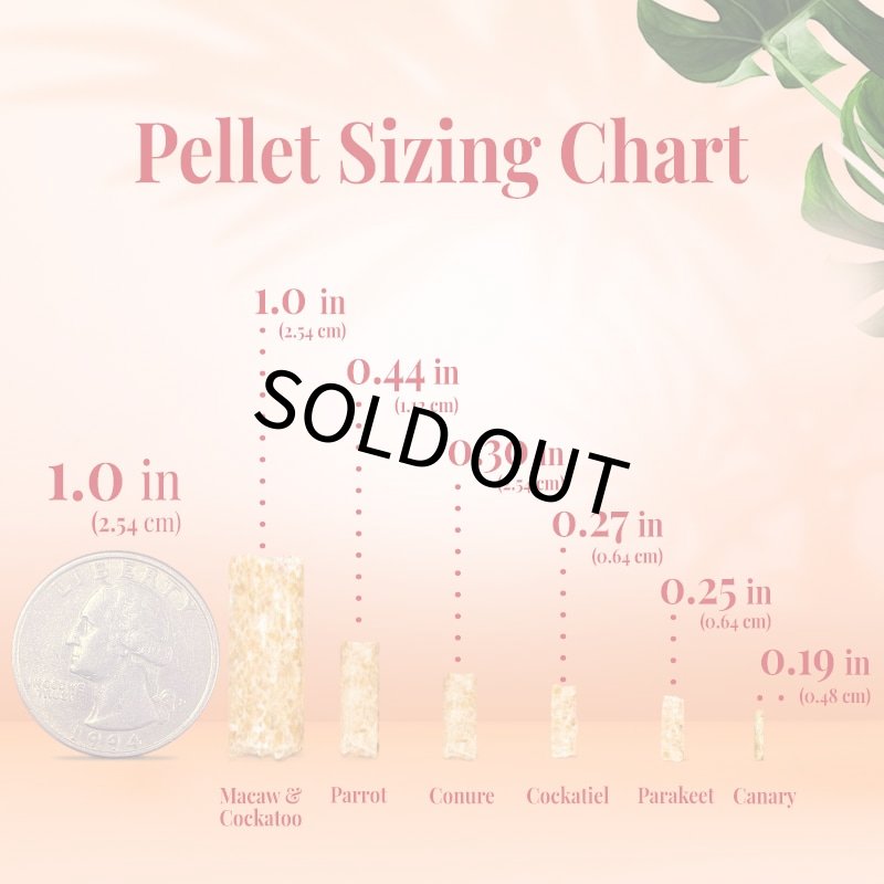 画像4: CAP! 鳥の餌 賞味期限2027/2/26 ラフィーバー グルメペレット コニュア 1.25#(567g) (4)