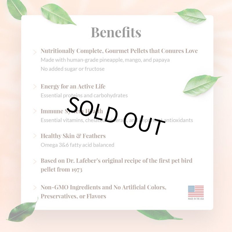 画像5: CAP! 鳥の餌 賞味期限2027/2/26 ラフィーバー グルメペレット コニュア 1.25#(567g) (5)