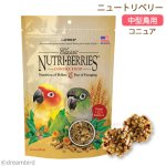 画像1: CAP! 鳥の餌 賞味期限:2027/3/16【ラフィーバー】ニュートリベリー コニュア 10oz(284g) (1)