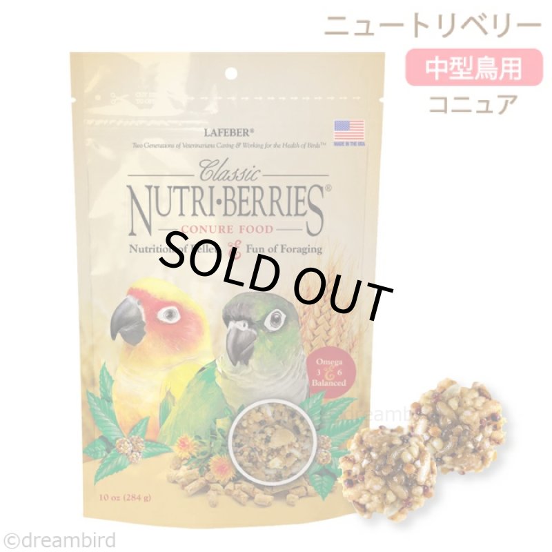 画像1: CAP! 鳥の餌 賞味期限:2027/3/16【ラフィーバー】ニュートリベリー コニュア 10oz(284g) (1)