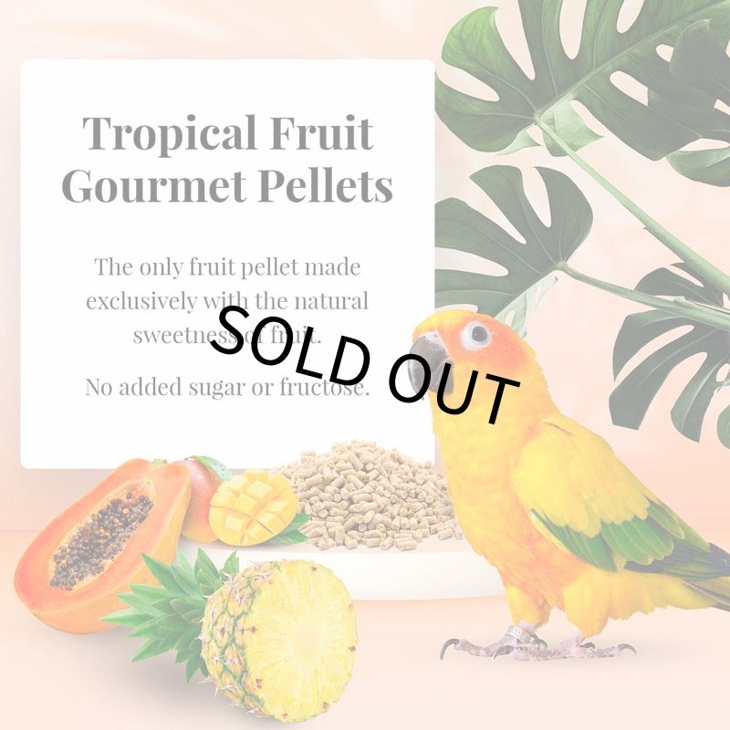 画像2: CAP! 鳥の餌 賞味期限2027/2/26 ラフィーバー グルメペレット コニュア 1.25#(567g) (2)