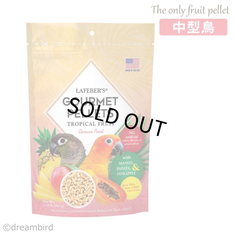 画像1: CAP! 鳥の餌 賞味期限2027/2/26 ラフィーバー グルメペレット コニュア 1.25#(567g) (1)