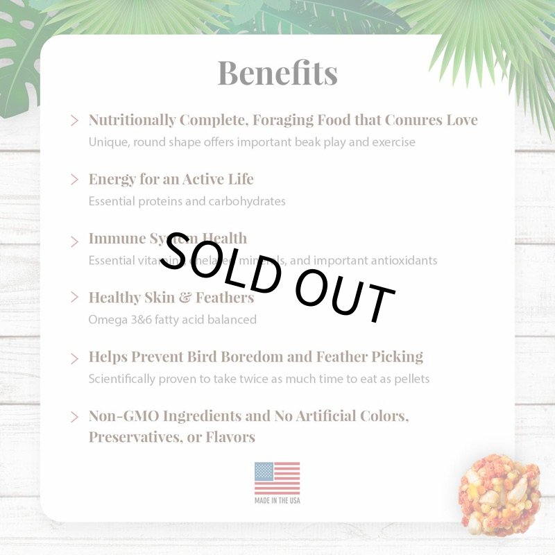 画像3: CAP! 鳥の餌 賞味期限:2027/4/2 ラフィーバー トロピカルフルーツ コニュア(10oz/284g) (3)