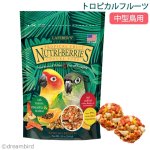 画像1: CAP! 鳥の餌 賞味期限:2027/4/2 ラフィーバー トロピカルフルーツ コニュア(10oz/284g) (1)