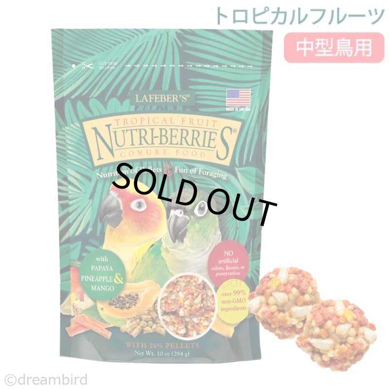 画像1: CAP! 鳥の餌 賞味期限:2027/4/2 ラフィーバー トロピカルフルーツ コニュア(10oz/284g) (1)