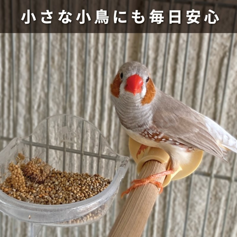 画像4: CAP! 鳥の餌 賞味期限2027/8/31【国内産】小鳥ミックス 500g 0020　★ (4)