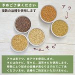 画像6: CAP! 鳥の餌 賞味期限2027/7/31【国内産】 小鳥ミックス 100g 0013 ★ (6)