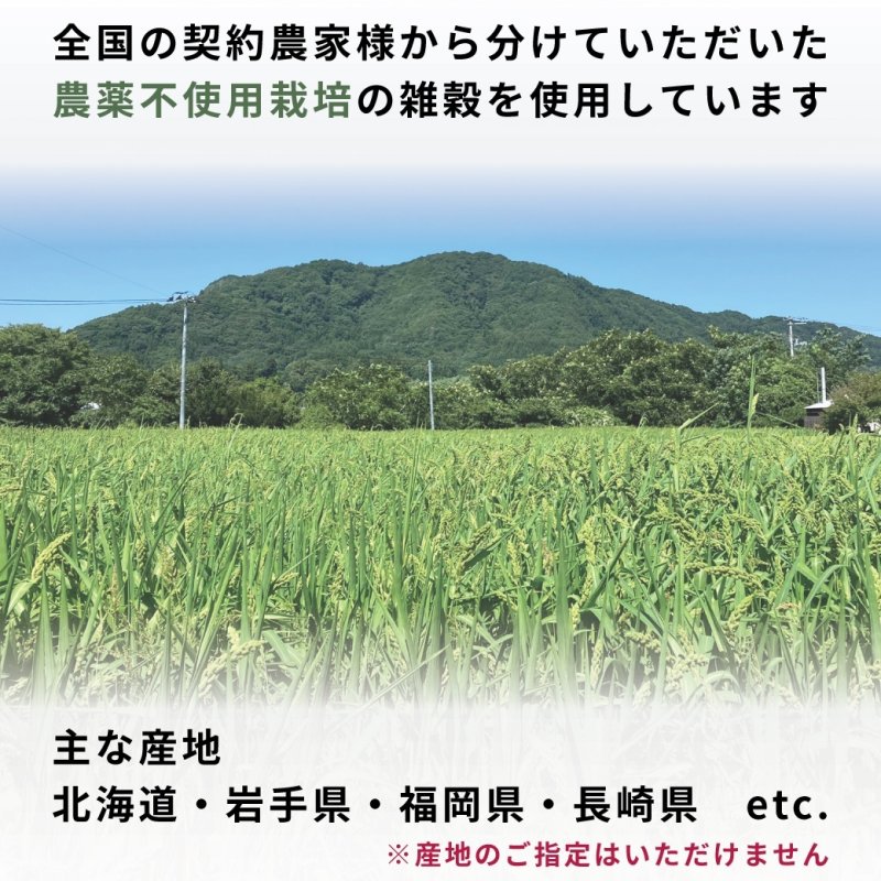 画像2: CAP! 鳥の餌 賞味期限2027/8/31【国内産】小鳥ミックス 1kg　0037　★ (2)