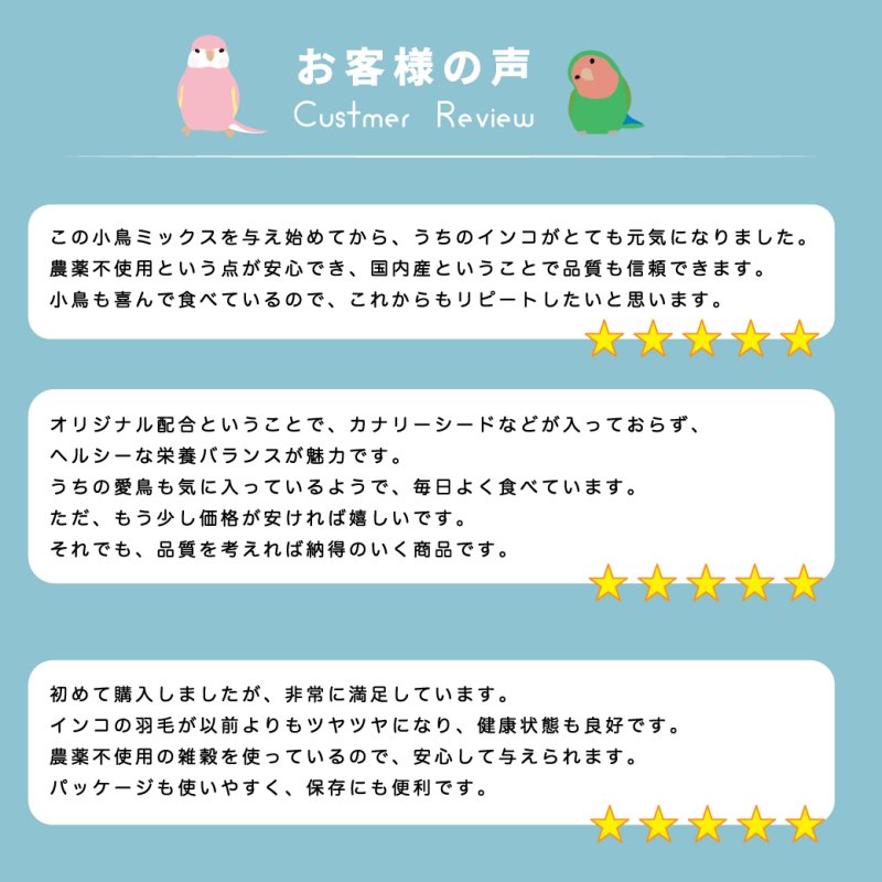 画像5: CAP! 鳥の餌 賞味期限2027/7/31【国内産】 小鳥ミックス 100g 0013 ★ (5)