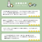 画像7: かじりーず　リング三昧 【熊本県産】いぐさ・【東アフリカ産】サイザル麻使用 (7)