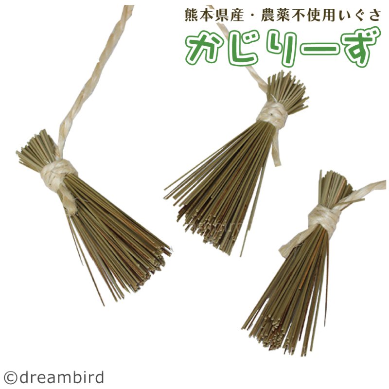 画像1: かじりーず　ほうき三昧 【熊本県産】いぐさ・【東アフリカ産】サイザル麻使用 (1)