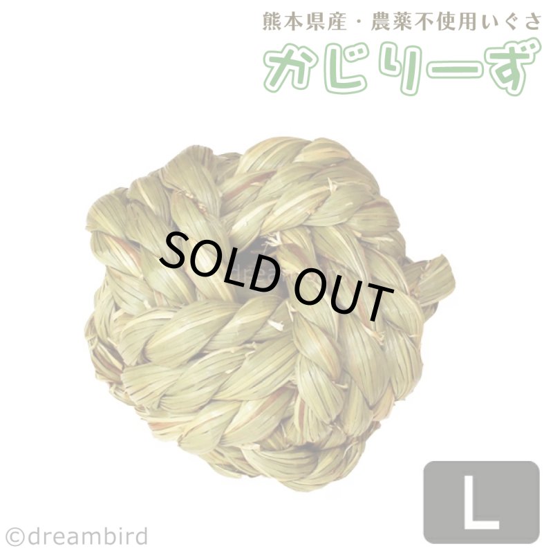 画像1: かじりーず　ボールL 【熊本県産】栽培時農薬不使用いぐさ使用 (1)