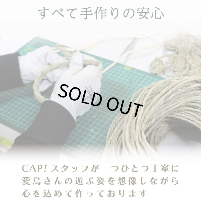 画像2: かじりーず　ボールL 【熊本県産】栽培時農薬不使用いぐさ使用 (2)