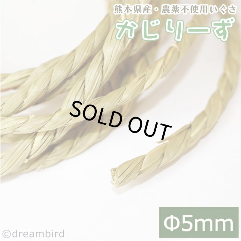 画像1: かじりーず いぐさロープ直径5mm x3M 栽培時農薬不使用いぐさ 熊本県産 (1)
