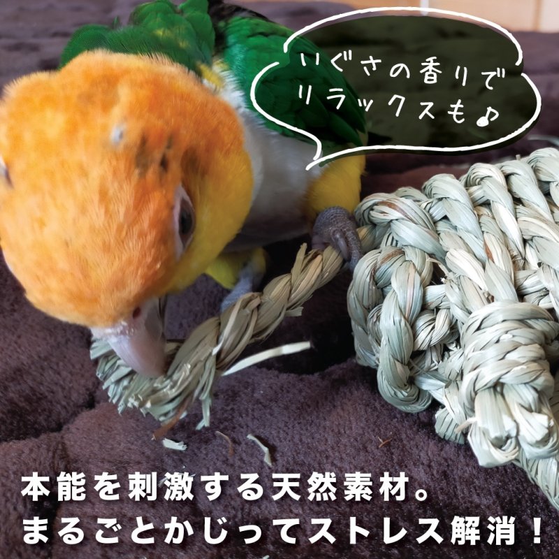 画像6: かじりーず　かじってぐるぐる 栽培時農薬不使用【熊本県産】いぐさ・【東アフリカ産】サイザル麻使用 (6)