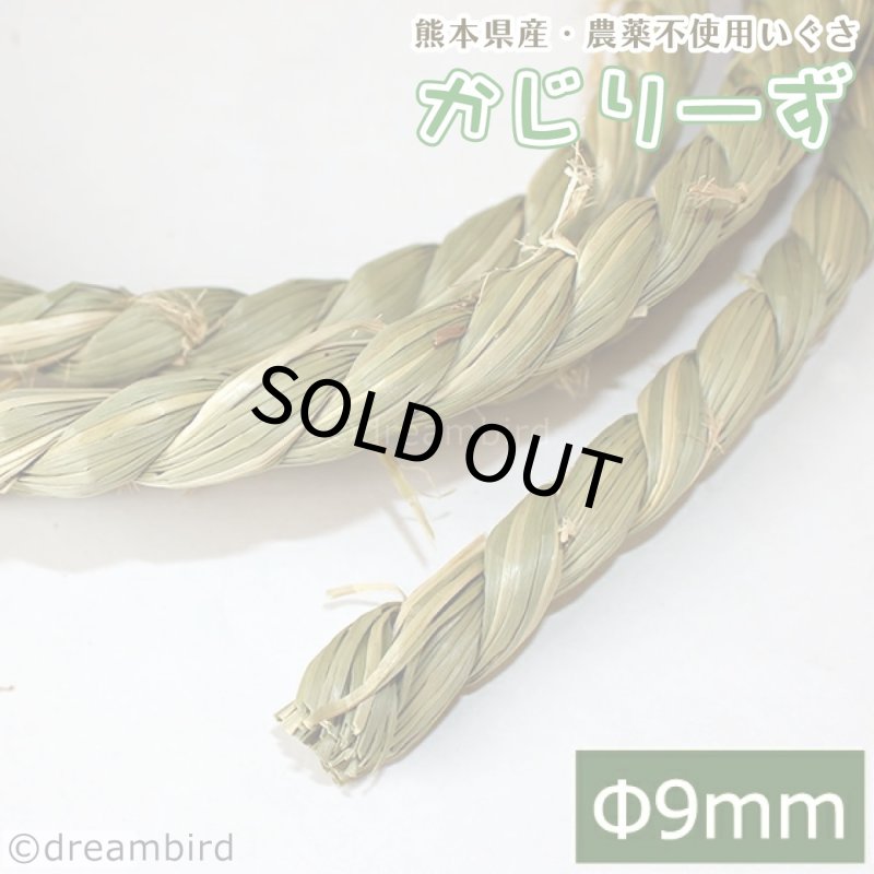 画像1: かじりーず いぐさロープ直径9mm x2M 【熊本県産】栽培時農薬不使用いぐさ使用 (1)