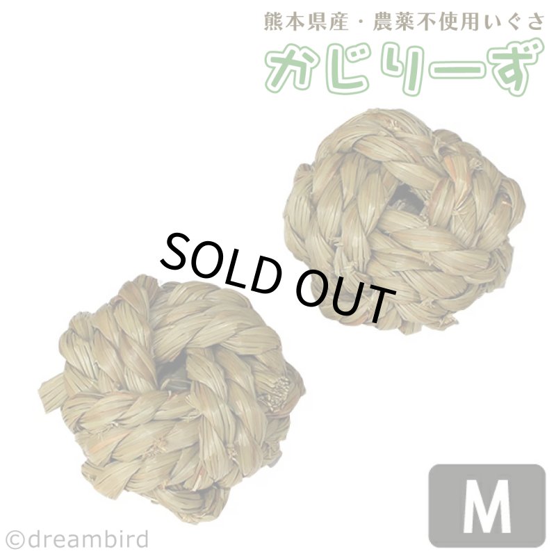 画像1: かじりーず　ボールM 【熊本県産】栽培時農薬不使用いぐさ使用 (1)