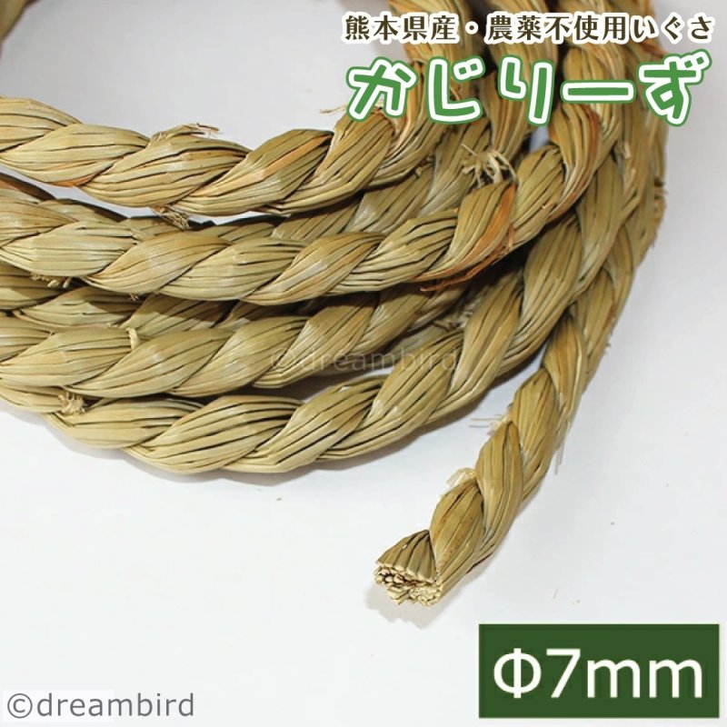 画像1: かじりーず いぐさロープ直径7mm x3M 【熊本県産】栽培時農薬不使用いぐさ使用 (1)