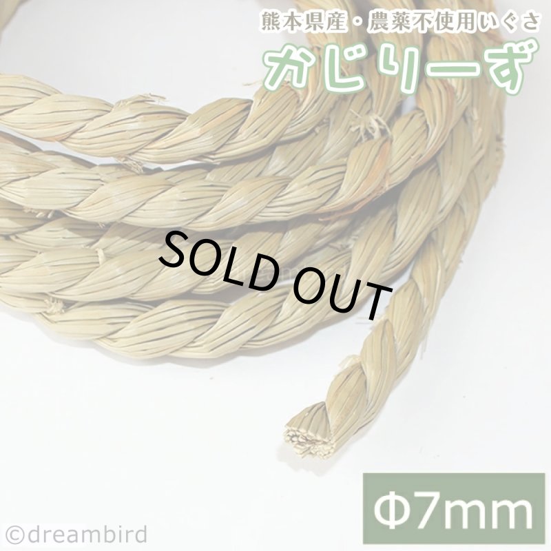画像1: かじりーず いぐさロープ直径7mm x3M 【熊本県産】栽培時農薬不使用いぐさ使用 (1)