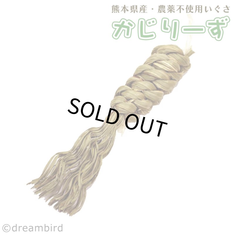 画像1: かじりーず　かじってぐるぐる 栽培時農薬不使用【熊本県産】いぐさ・【東アフリカ産】サイザル麻使用 (1)